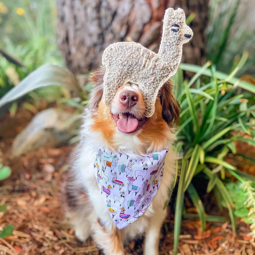 Alqo Wasi Alpaca Dog Toy