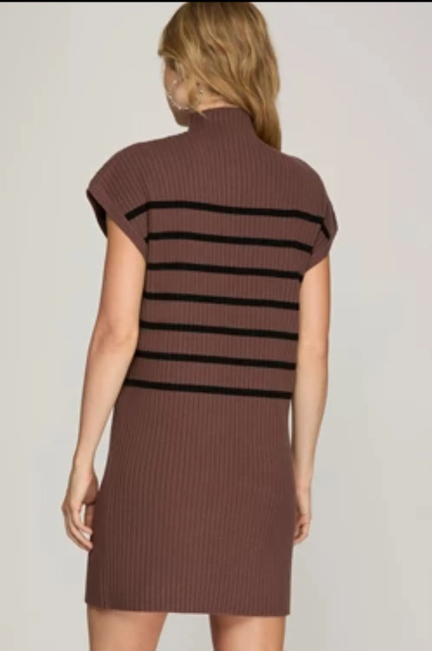Brigg Stripe Sweater Dress