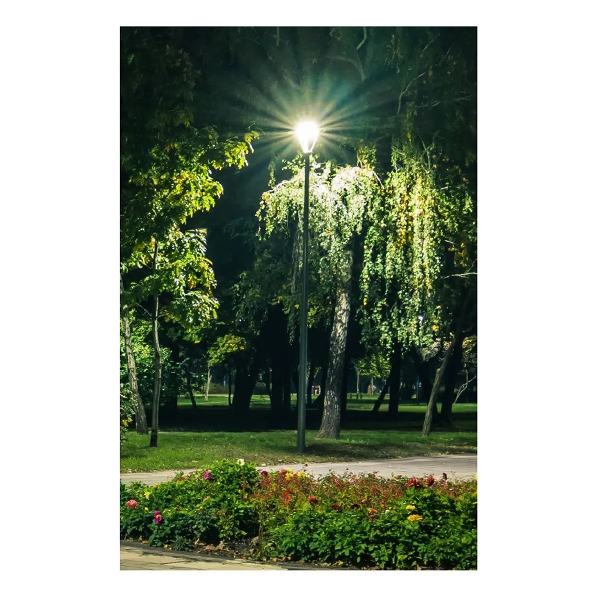 LED Post Top Area Light, 75 Watts, 10100 Lumens, Selectable CCT 30K/40K/50K, 120-347V