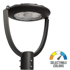 LED Post Top Area Light, 75 Watts, 10100 Lumens, Selectable CCT 30K/40K/50K, 120-347V
