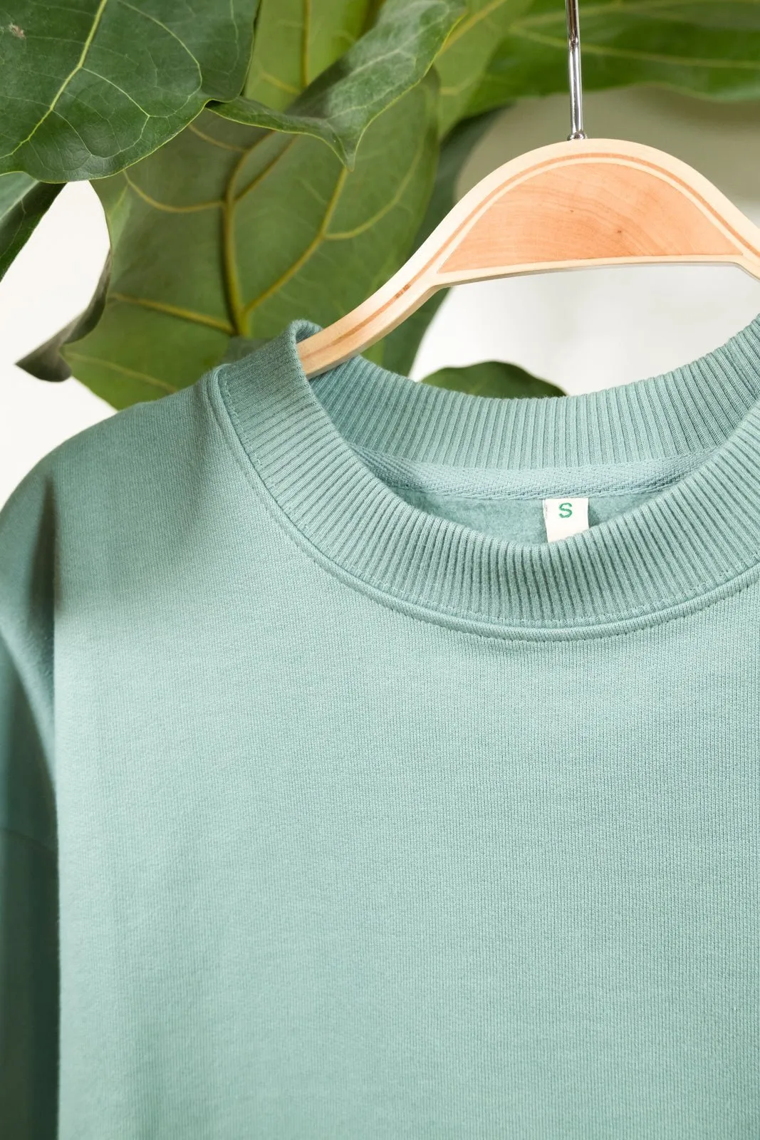 pannenkoekplant womens organic sweater