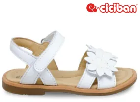 Ponza White 45