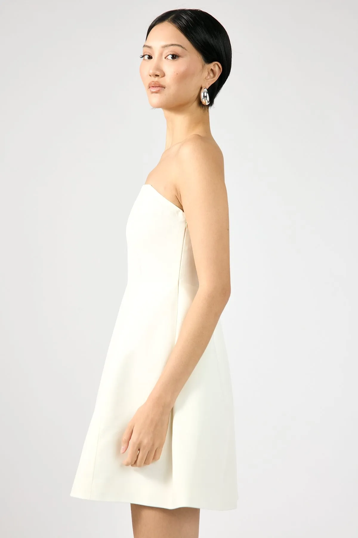 Strapless Bodycon Mini Dress