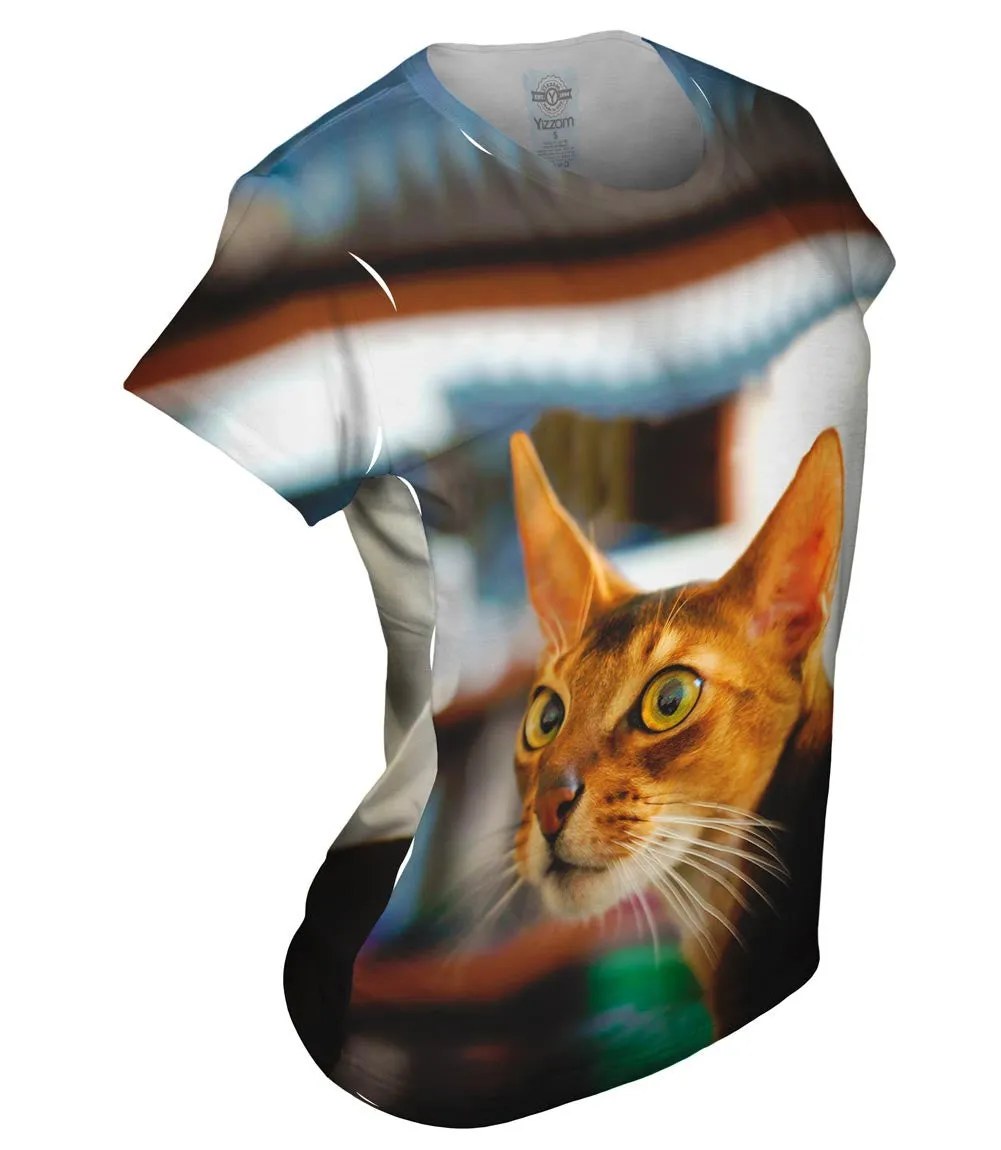 What Happened Cat